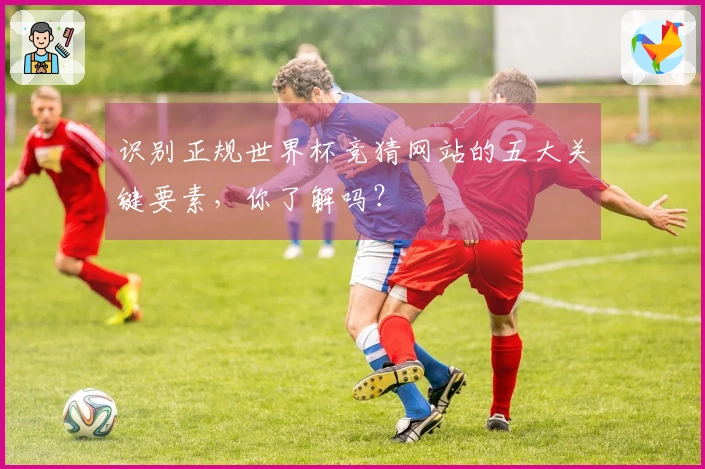 识别正规世界杯竞猜网站的五大关键要素，你了解吗？