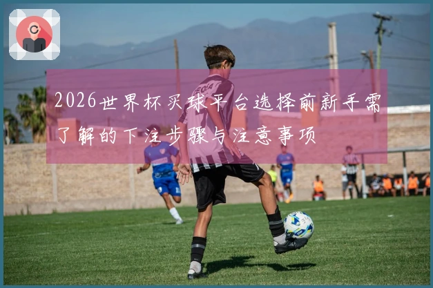 2026世界杯买球平台选择前新手需了解的下注步骤与注意事项