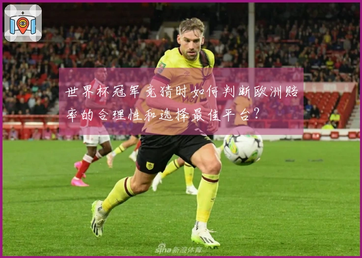 世界杯冠军竞猜时如何判断欧洲赔率的合理性和选择最佳平台？