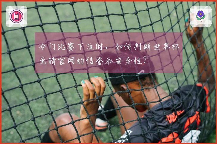 冷门比赛下注时，如何判断世界杯竞猜官网的信誉和安全性？