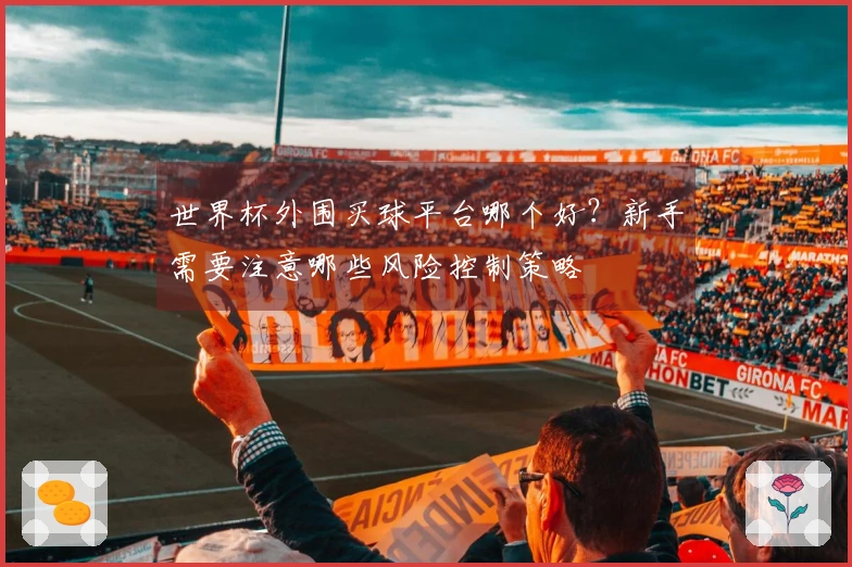 世界杯外围买球平台哪个好？新手需要注意哪些风险控制策略