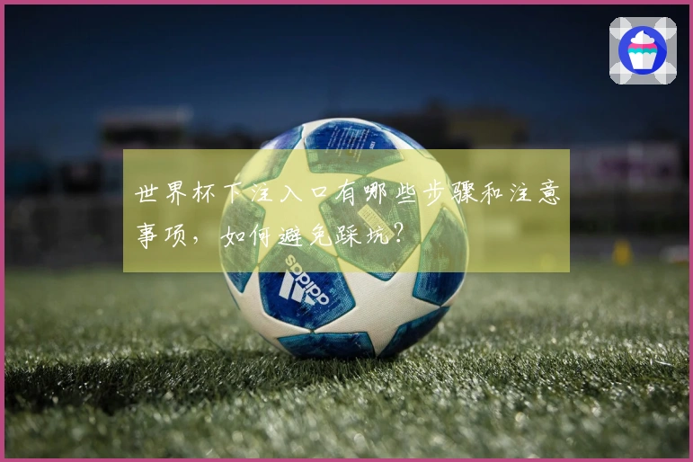 世界杯下注入口有哪些步骤和注意事项，如何避免踩坑？