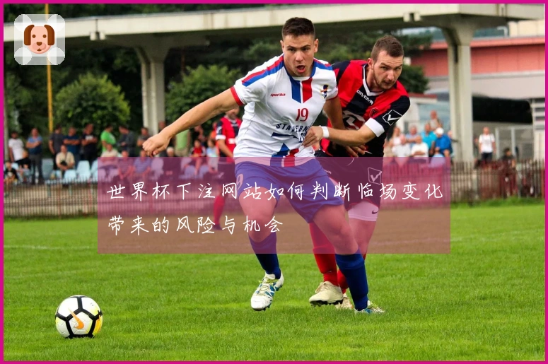 世界杯下注网站如何判断临场变化带来的风险与机会