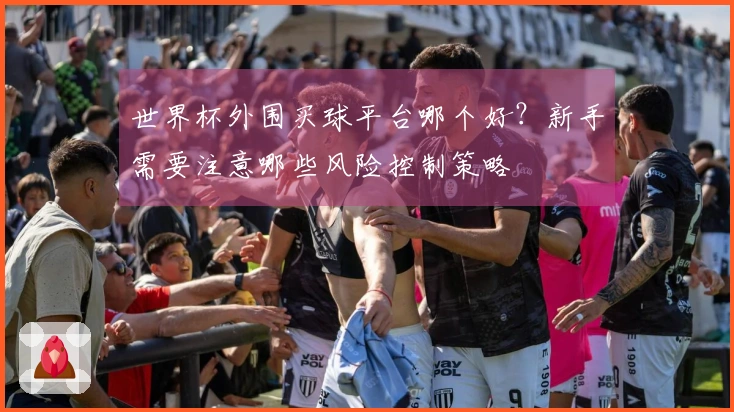 世界杯外围买球平台哪个好？新手需要注意哪些风险控制策略